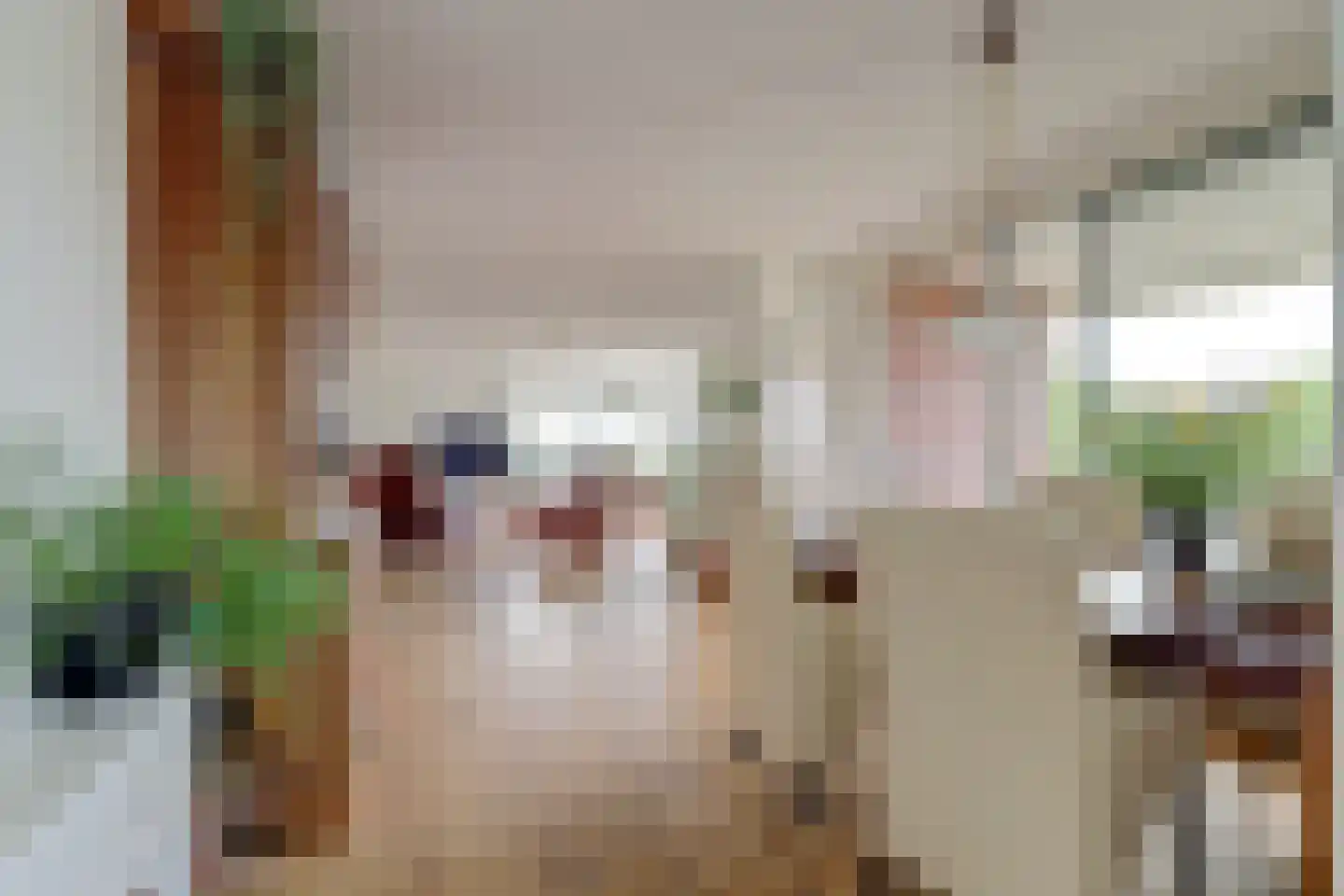 Hendrik Jesselaan 17 Oegstgeest thumbnail 17