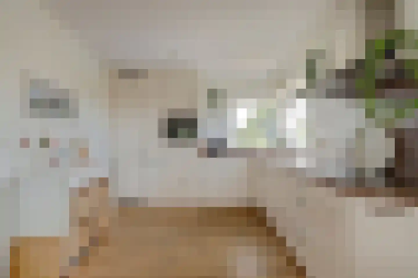 Hendrik Jesselaan 17 Oegstgeest thumbnail 19