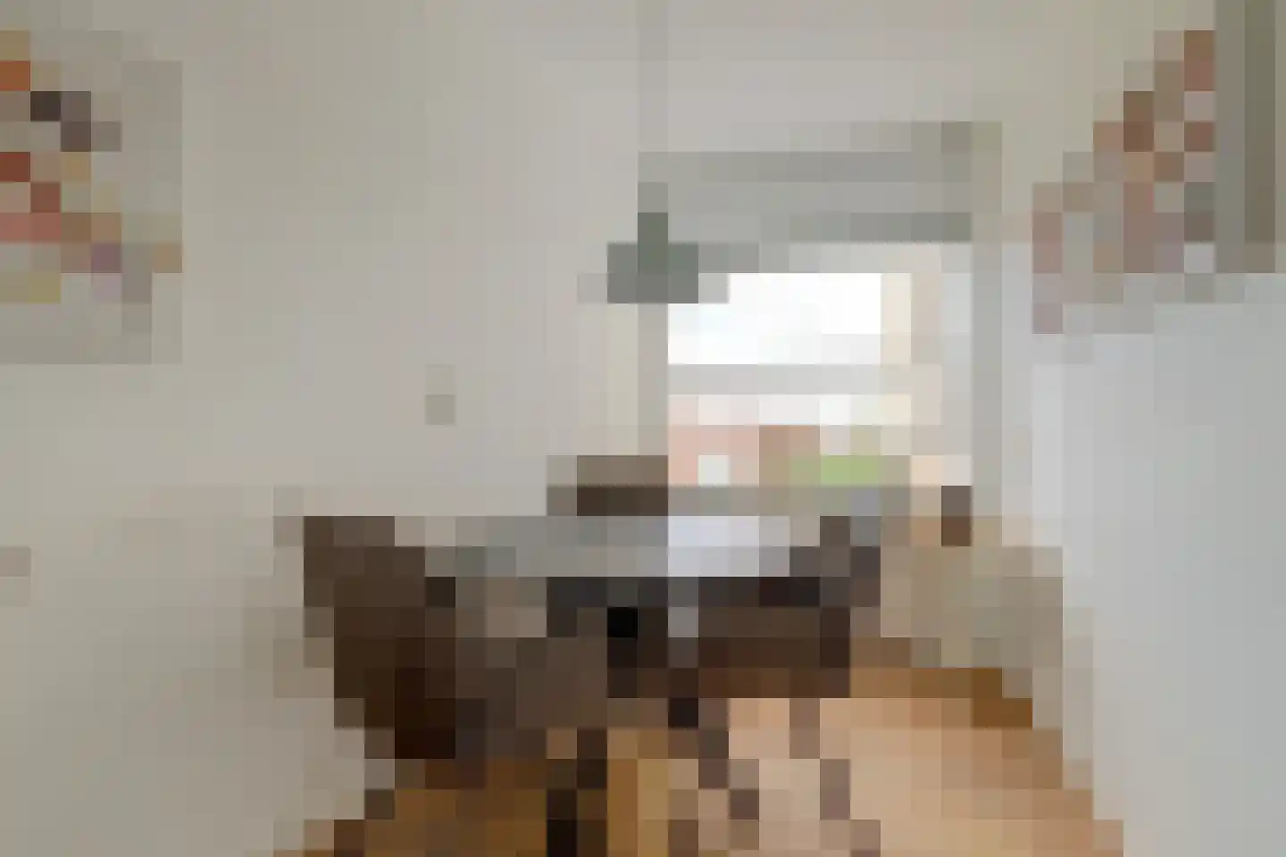 Hendrik Jesselaan 17 Oegstgeest thumbnail 21