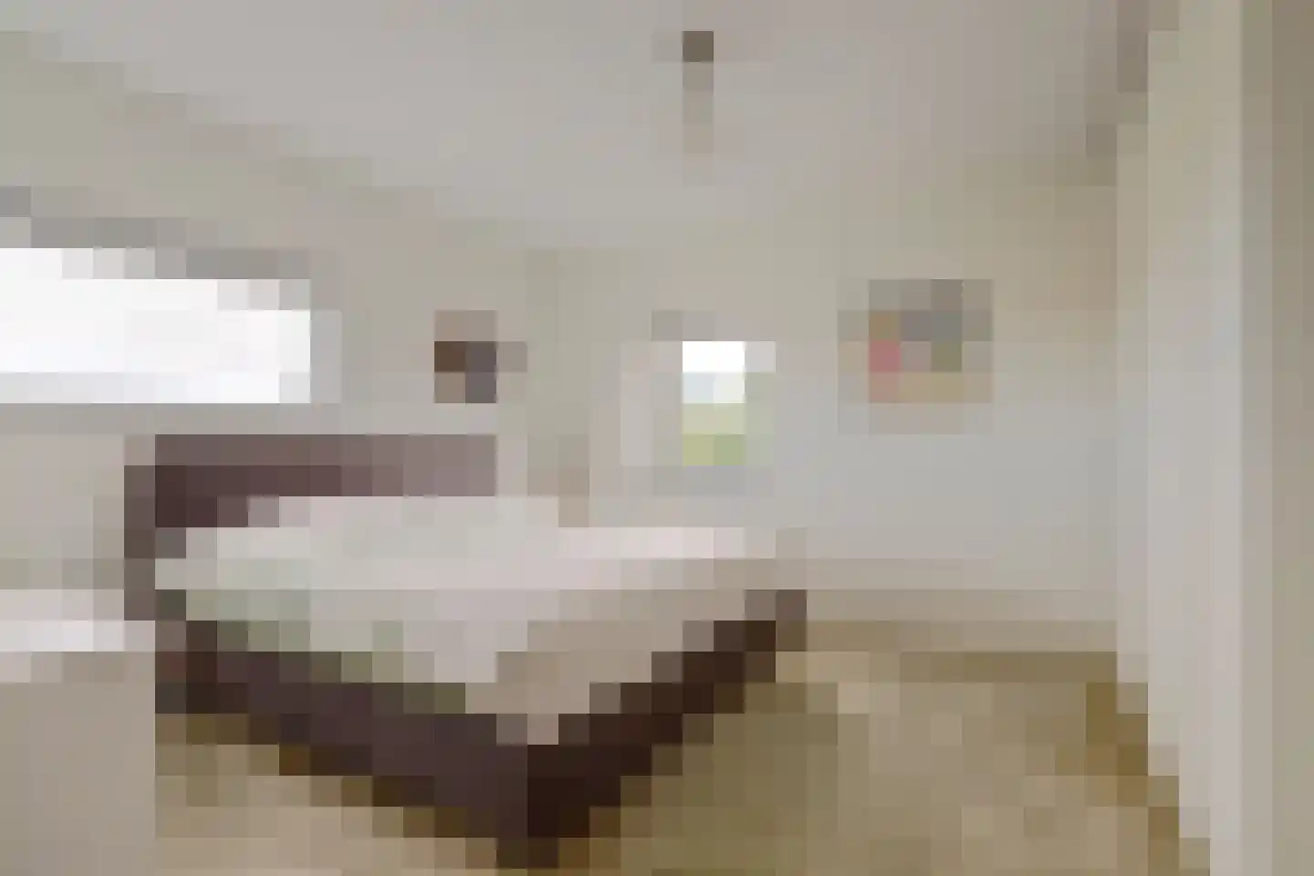 Hendrik Jesselaan 17 Oegstgeest thumbnail 23