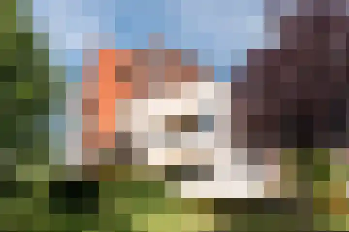 Hendrik Jesselaan 25 Oegstgeest thumbnail 38