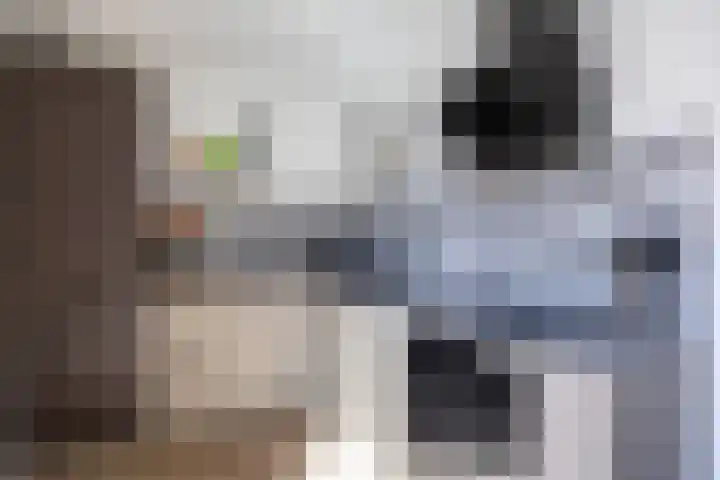 Hendrik Johan Melgersstraat 18 Groningen thumbnail 19