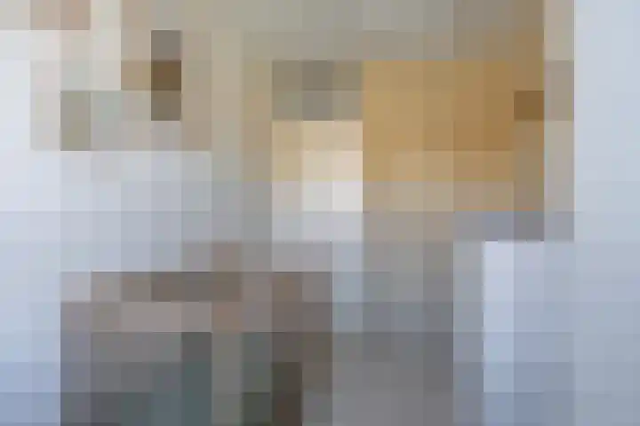 Hendrik Johan Melgersstraat 18 Groningen thumbnail 32