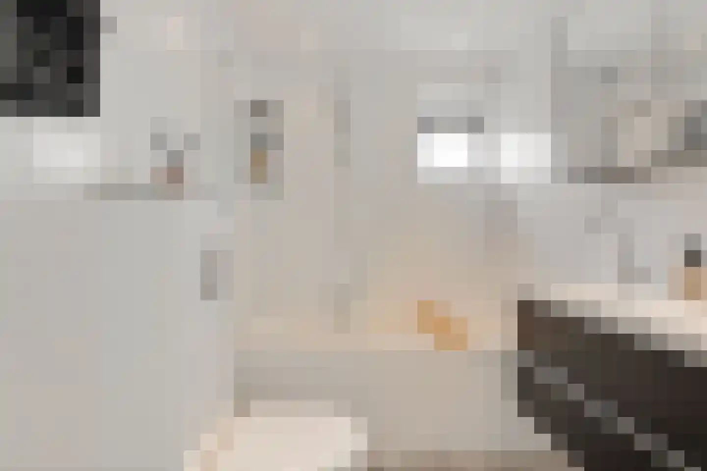 Hendrik Johan Melgersstraat 19 Groningen thumbnail 32