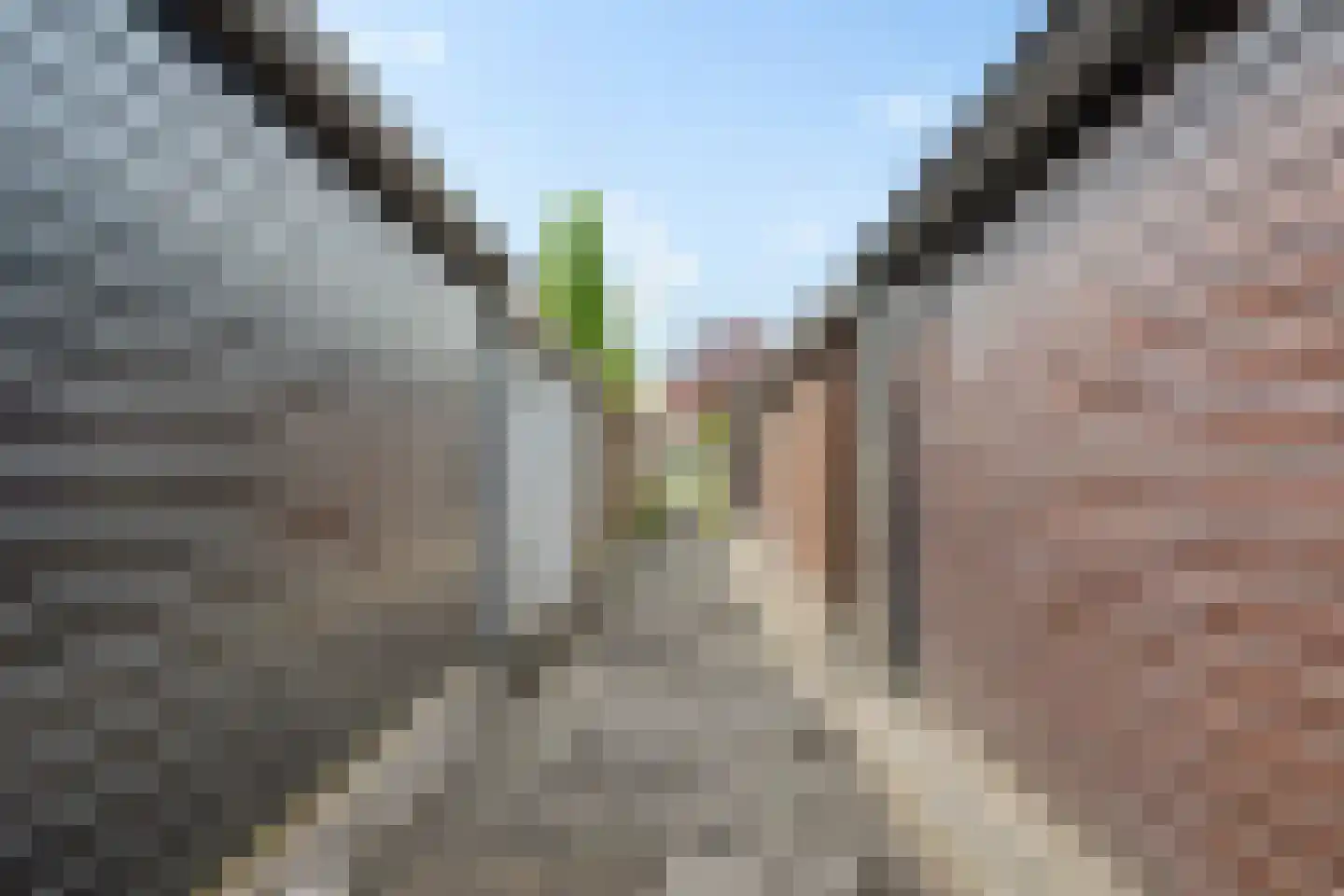 Hendrik Johan Melgersstraat 19 Groningen thumbnail 46