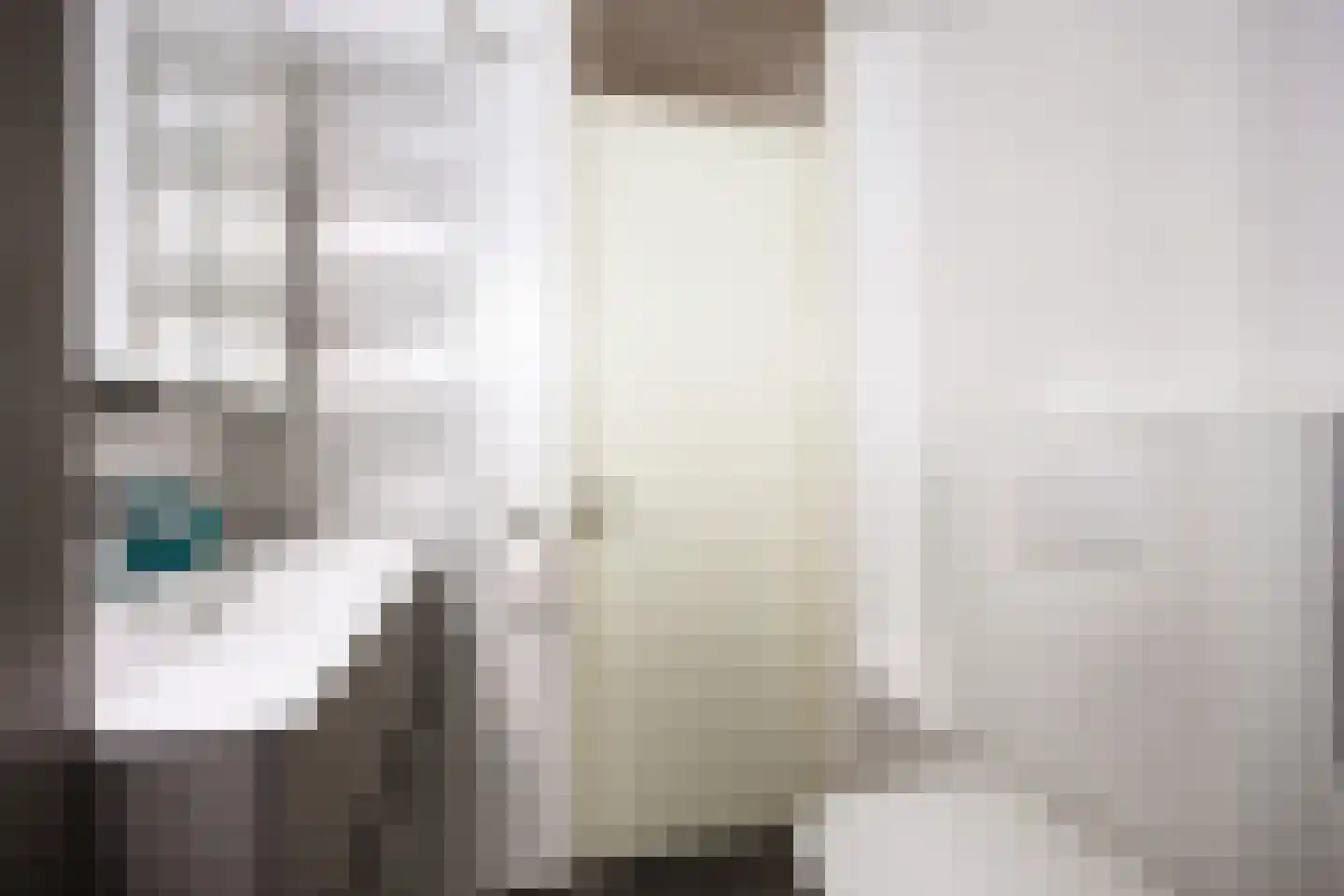 Hendrik Johan Melgersstraat 20 Groningen thumbnail 22
