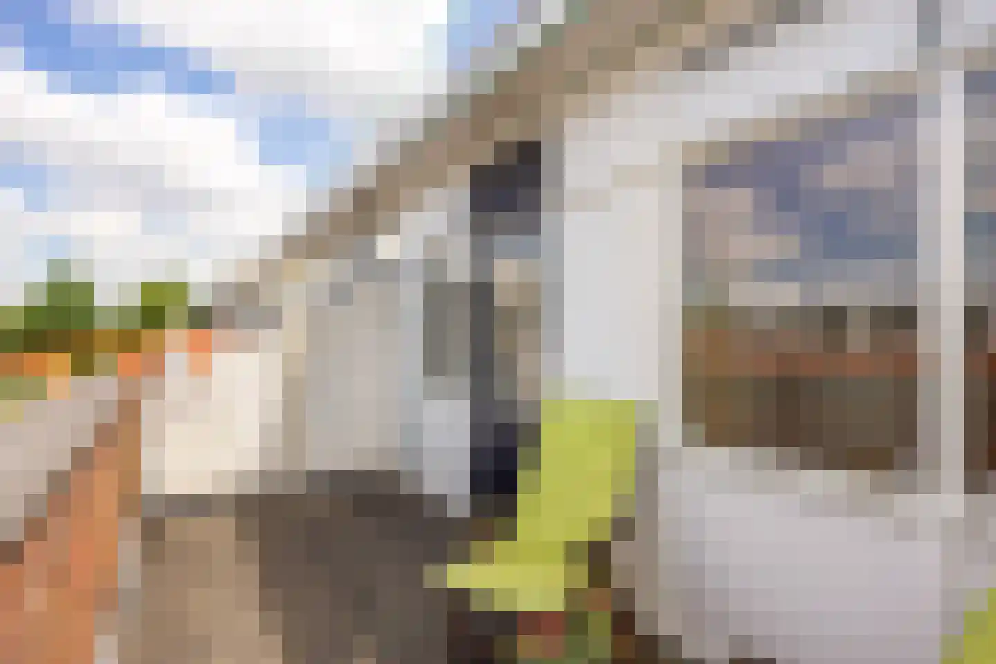 Hendrik Johan Melgersstraat 20 Groningen thumbnail 31