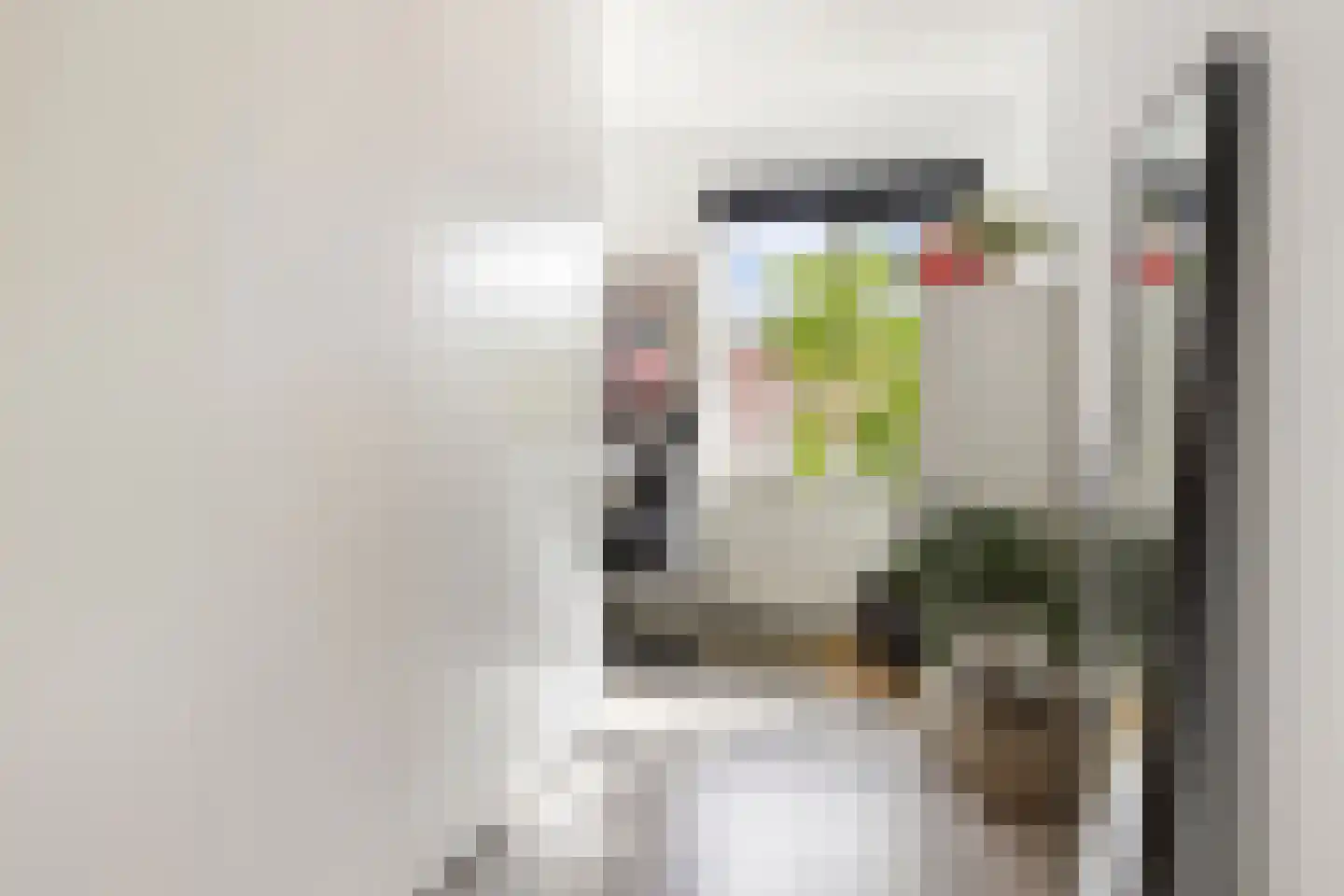 Hendrik Johan Melgersstraat 5 Groningen thumbnail 25