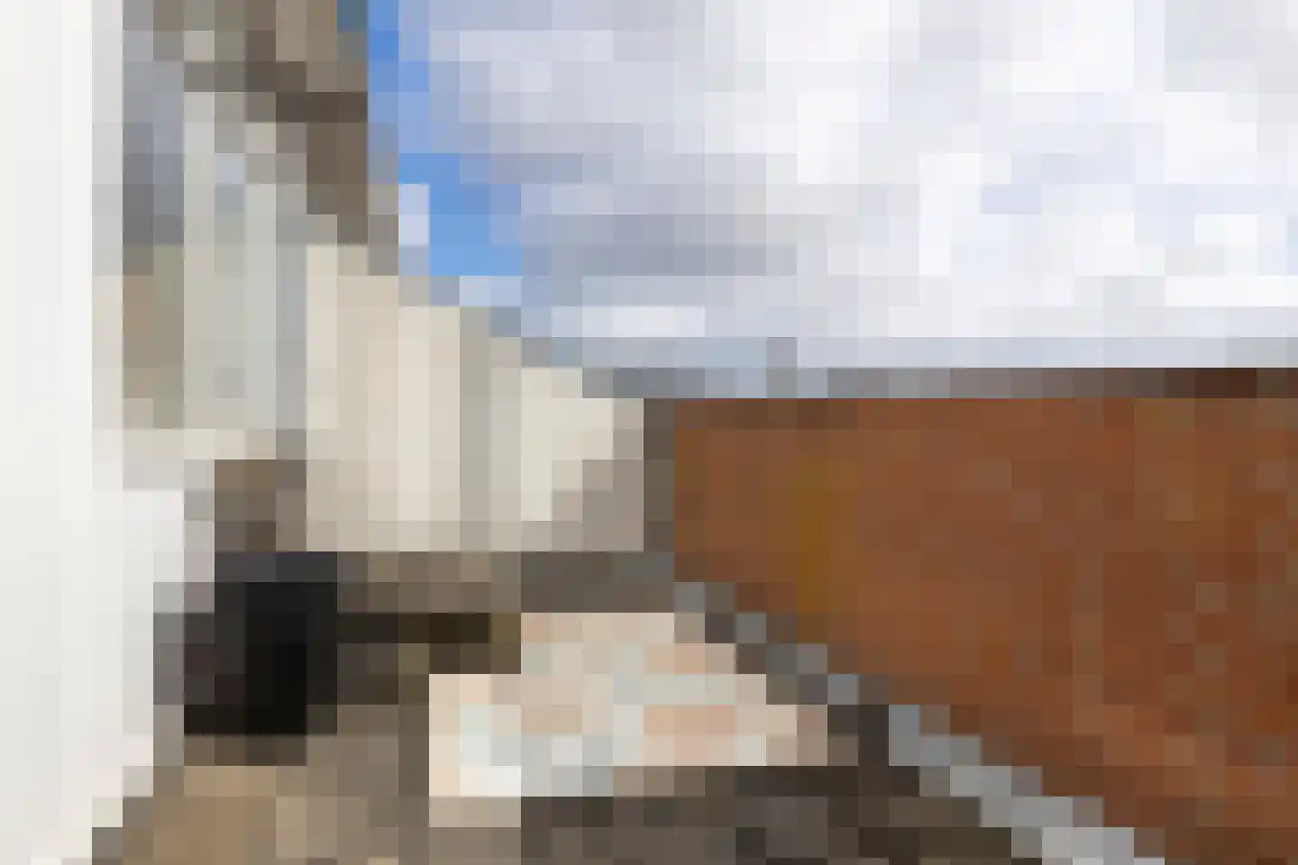 Hendrik Johan Melgersstraat 5 Groningen thumbnail 34