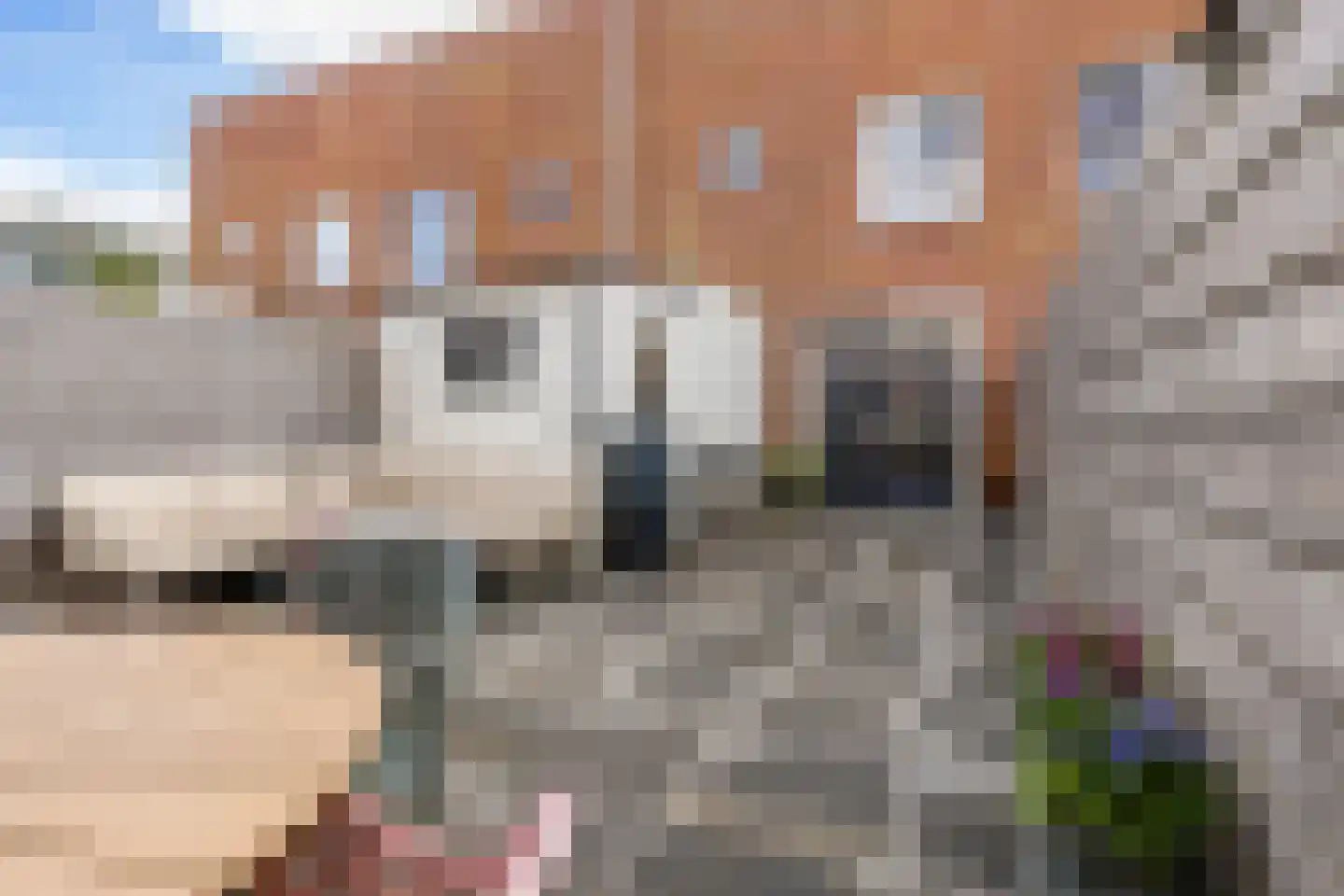 Hendrik Johan Melgersstraat 5 Groningen thumbnail 40