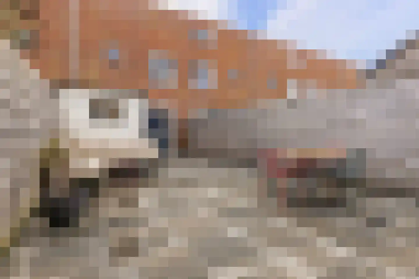 Hendrik Johan Melgersstraat 5 Groningen thumbnail 5