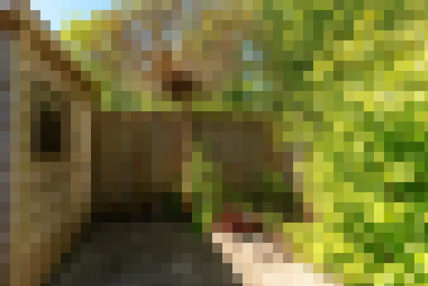 Hendrik Kraemerlaan 30 Driebergen-Rijsenburg thumbnail 14