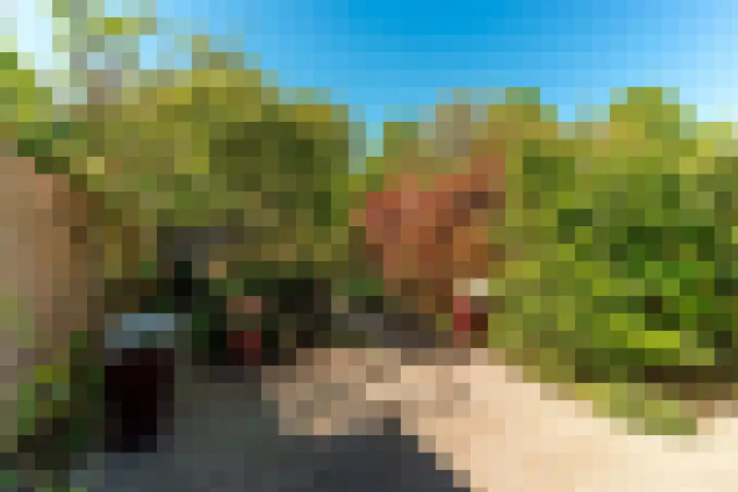 Hendrik Kraemerlaan 30 Driebergen-Rijsenburg thumbnail 4