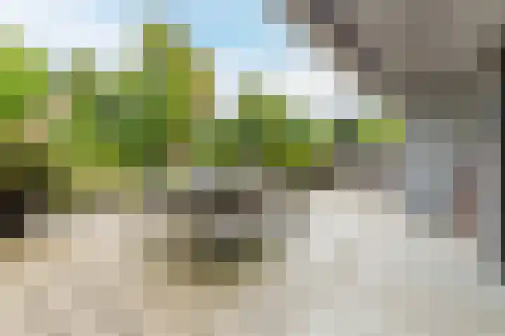 Hendrik Kraemerpark 39 Oegstgeest thumbnail 12