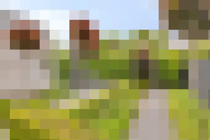 Hendrik Kraemerpark 6 Oegstgeest thumbnail 6