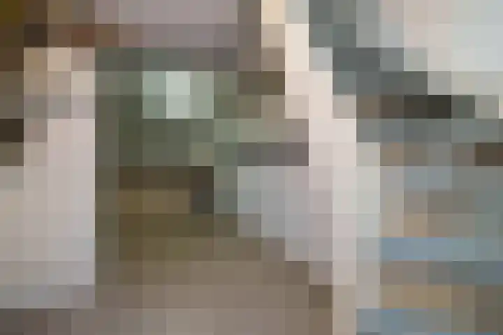 Hendrik Lansbergenstraat 12 Rotterdam thumbnail 13