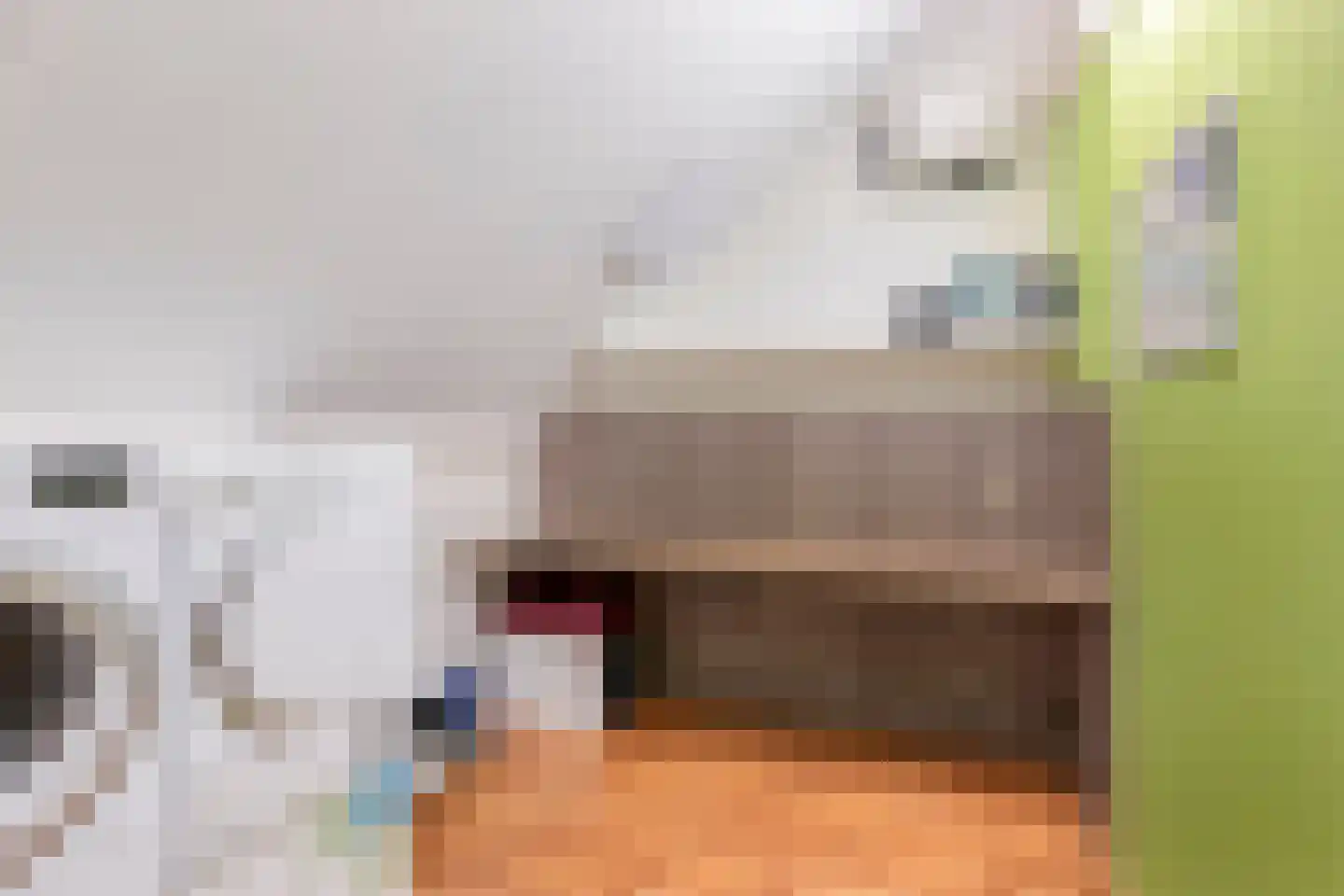 Hendrik Leemreizestraat 3 Lichtenvoorde thumbnail 30