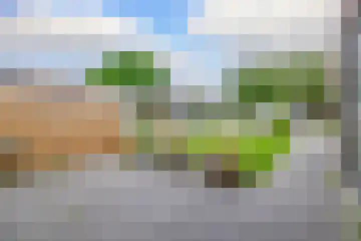 Hendrik Lofversstraat 17 Groningen thumbnail 20