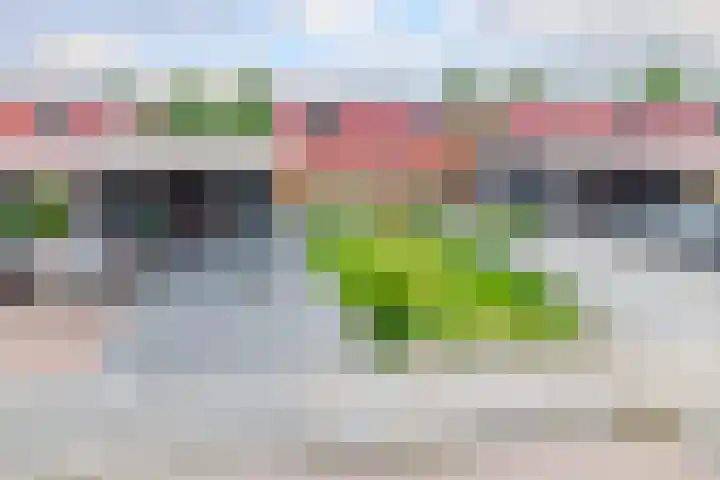 Hendrik Lofversstraat 17 Groningen thumbnail 5