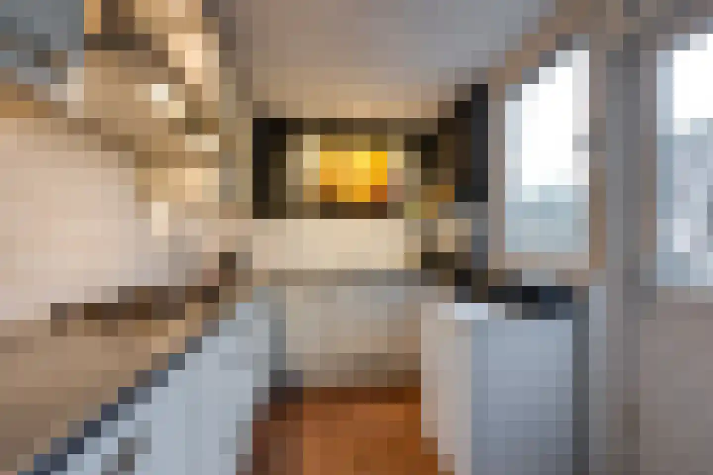 Hendrik Lorentzlaan 10 Berkel-Enschot thumbnail 16