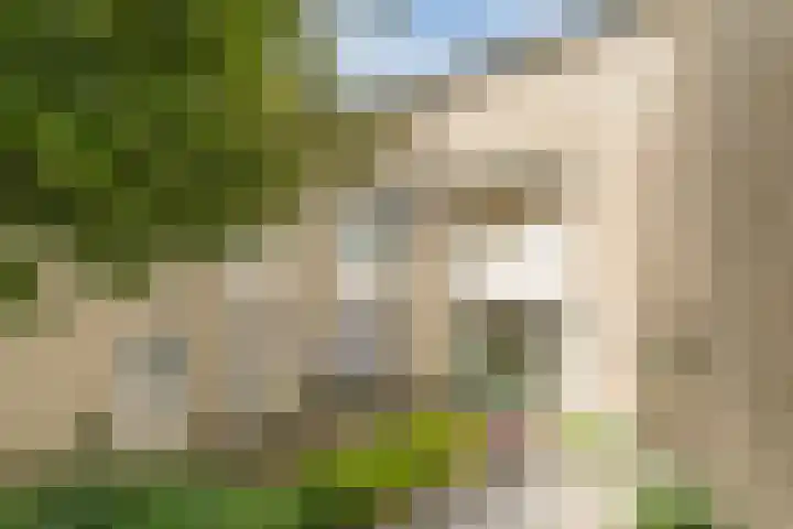 Hendrik Lorentzlaan 5 Berkel-Enschot thumbnail 5