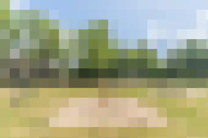 Hendrik Lorentzlaan 5 Berkel-Enschot thumbnail 54