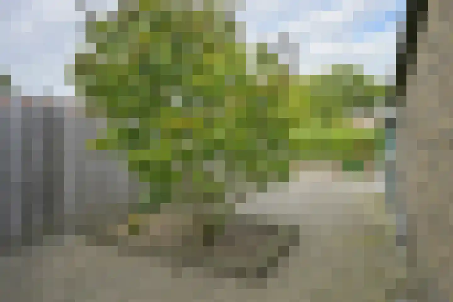 Hendrik Luijtenstraat 19 Sittard thumbnail 22