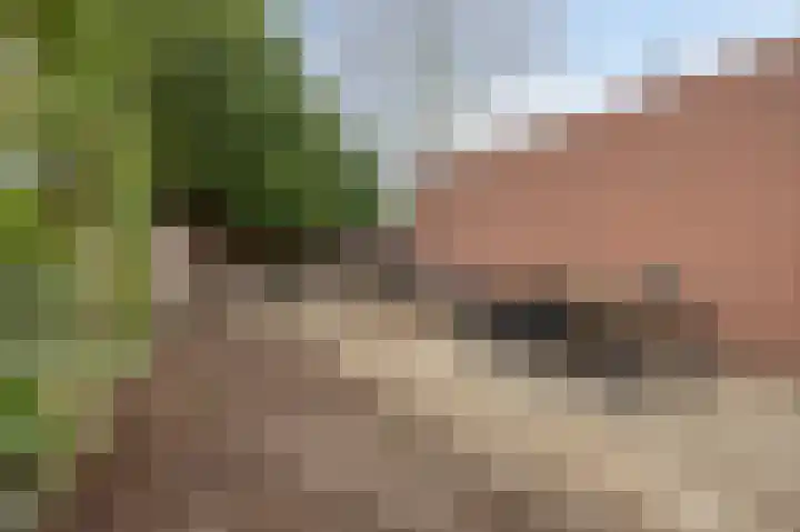 Hendrik Luijtenstraat 7 Sittard thumbnail 38