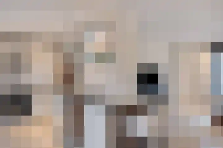 Hendrik Luijtenstraat 7 Sittard thumbnail 9