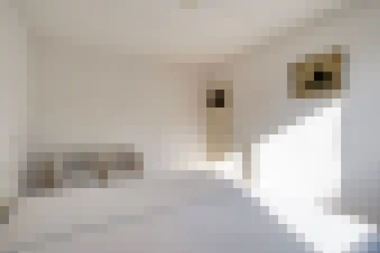 Hendrik Luytenstraat 5 Roermond thumbnail 21