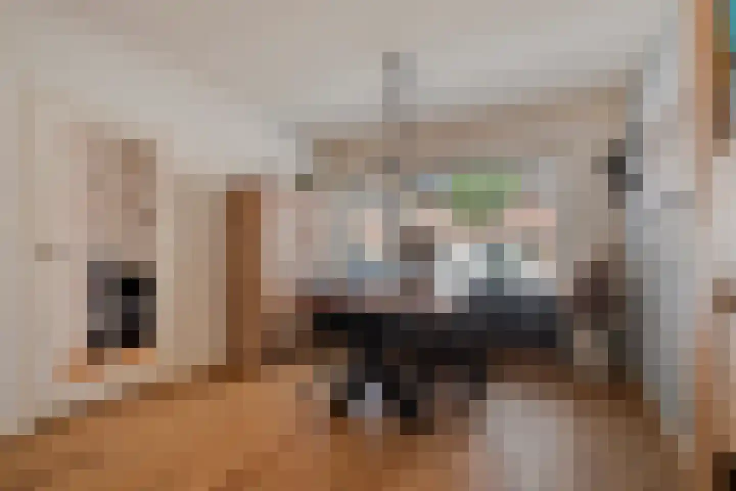 Hendrik Mandestraat 13 Eindhoven thumbnail 13