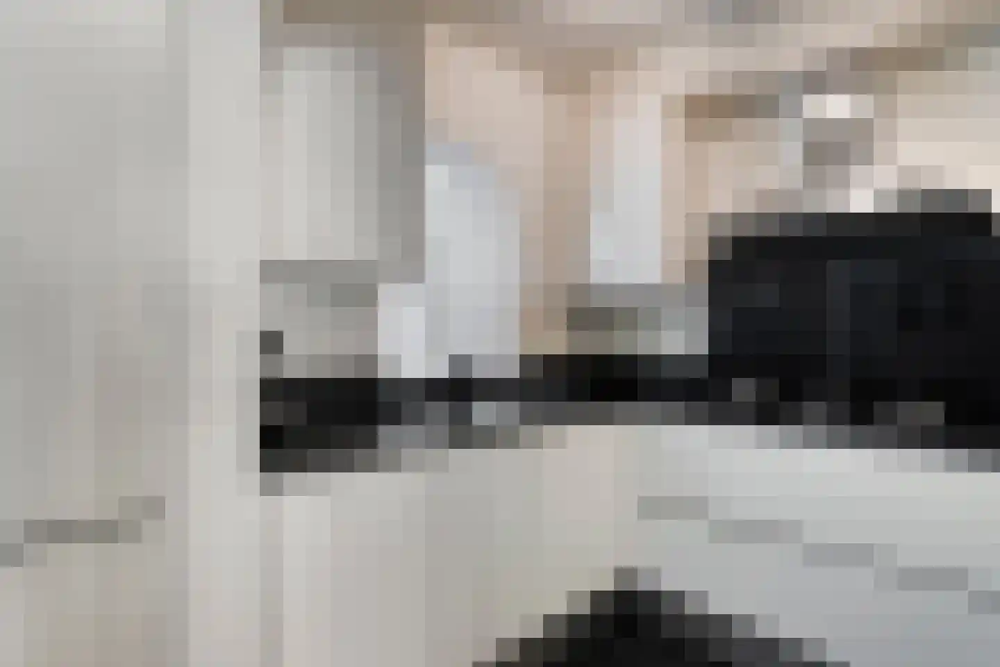 Hendrik Mandestraat 13 Eindhoven thumbnail 17