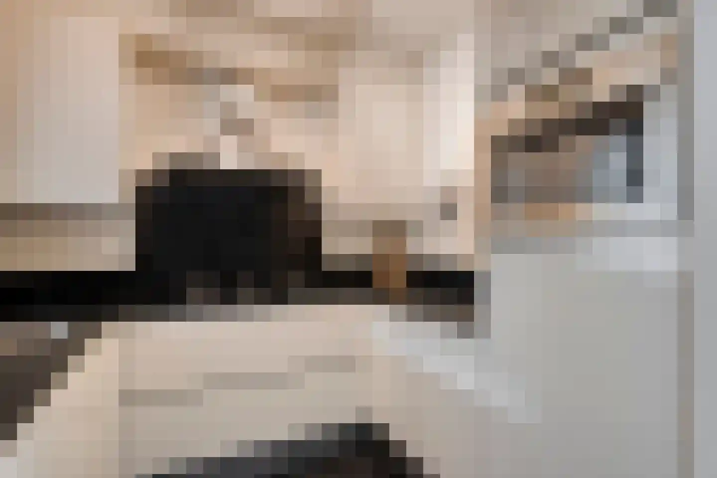 Hendrik Mandestraat 13 Eindhoven thumbnail 18