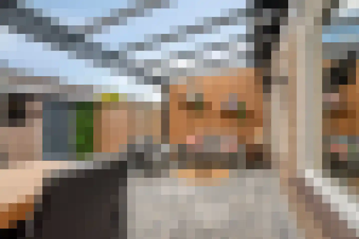 Hendrik Mandestraat 13 Eindhoven thumbnail 29