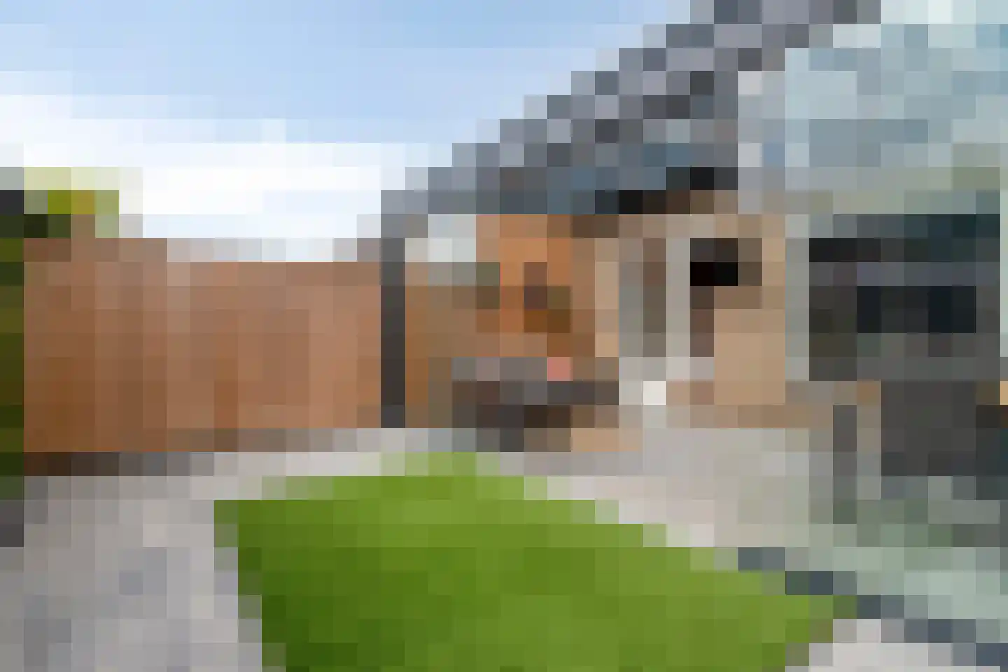 Hendrik Mandestraat 13 Eindhoven thumbnail 31