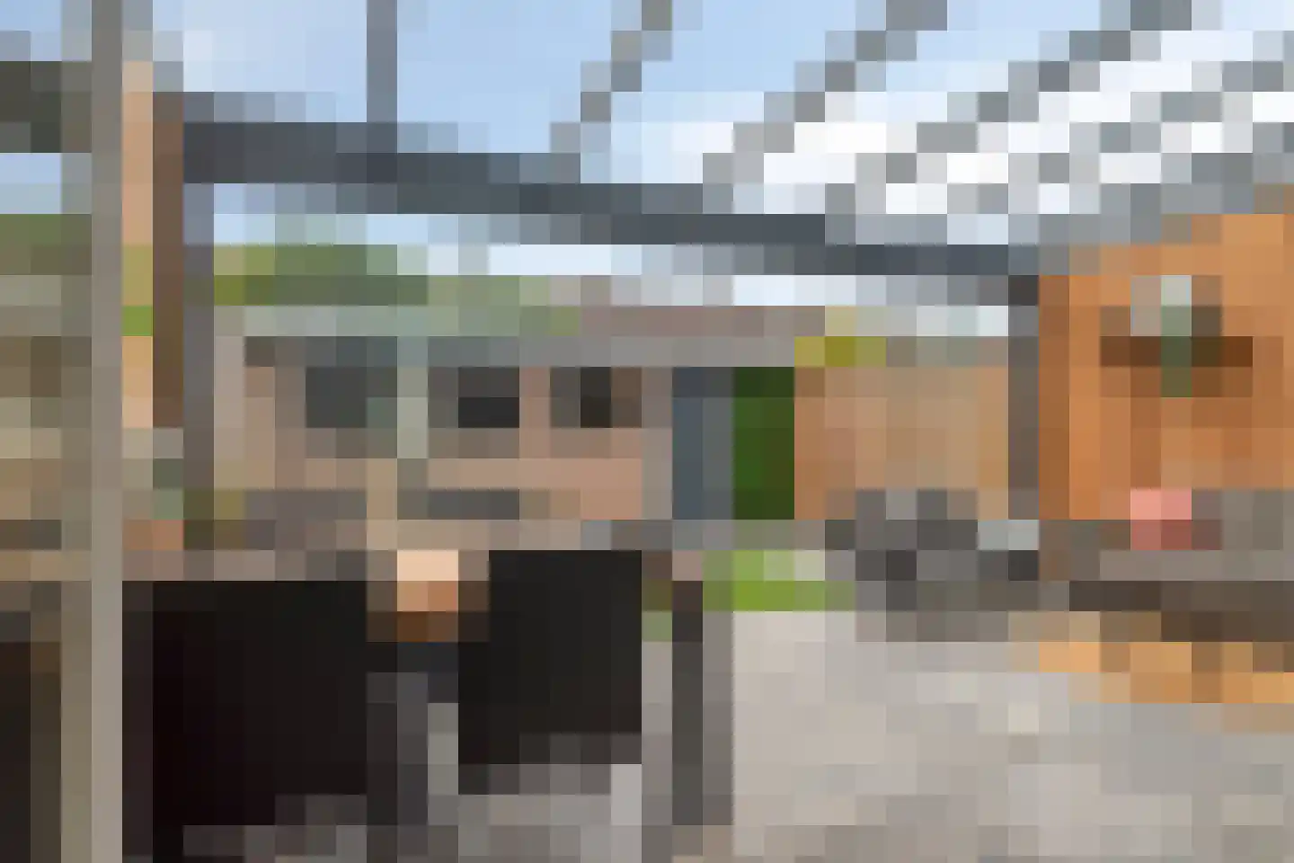 Hendrik Mandestraat 13 Eindhoven thumbnail 4