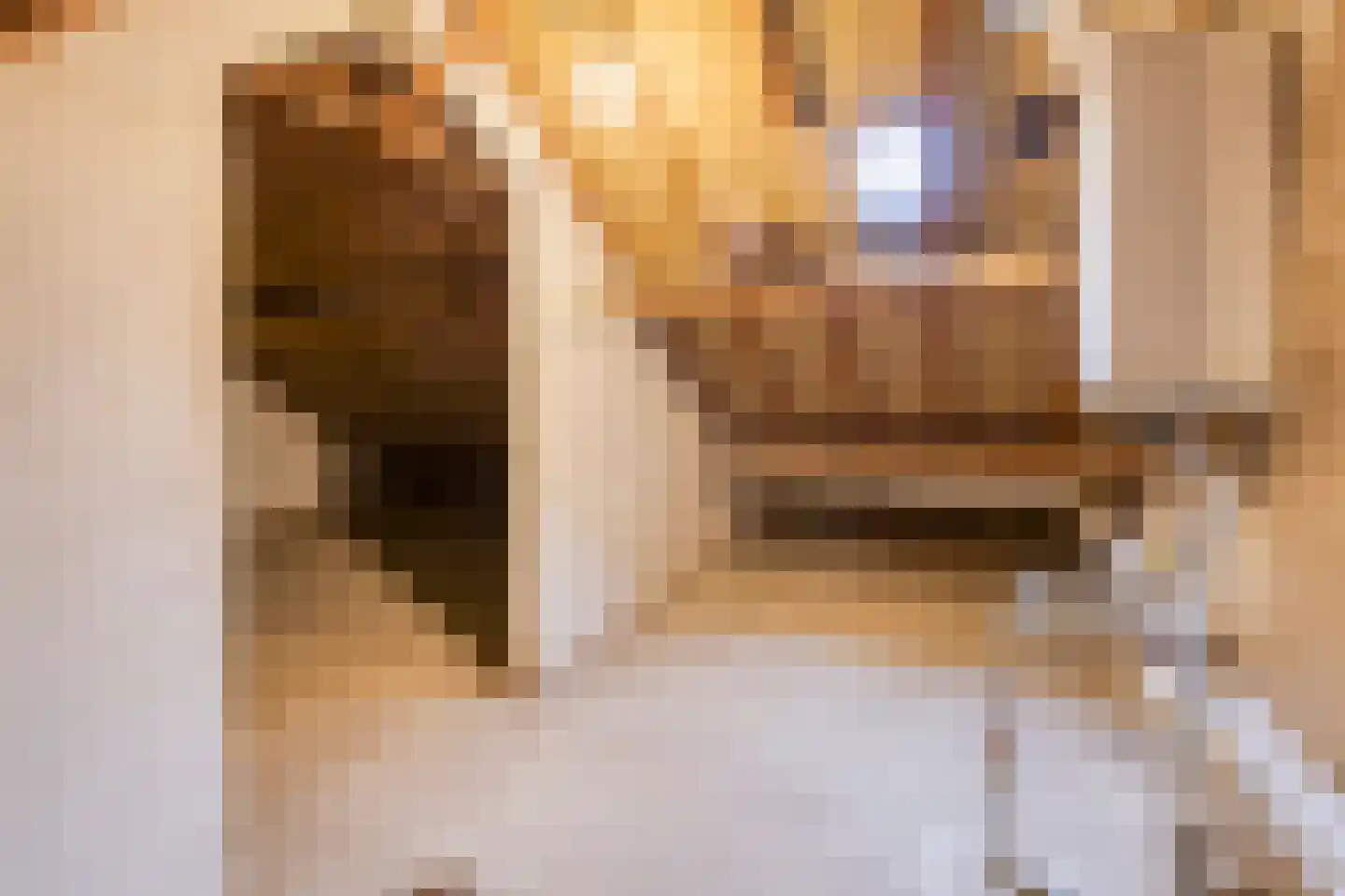 Hendrik Mandestraat 17 Eindhoven thumbnail 24