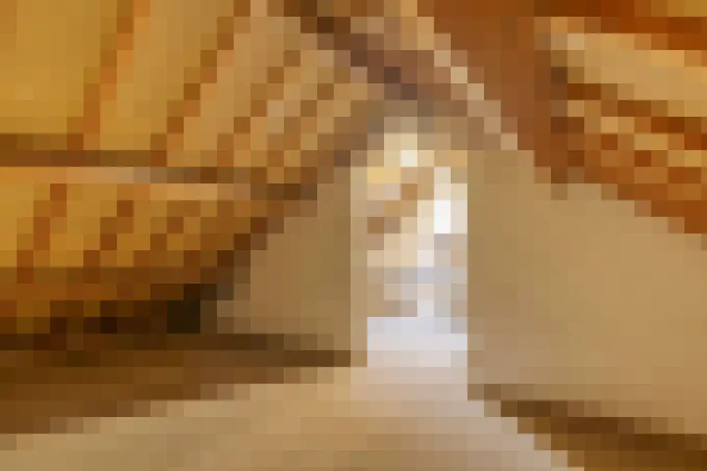 Hendrik Mandestraat 17 Eindhoven thumbnail 25
