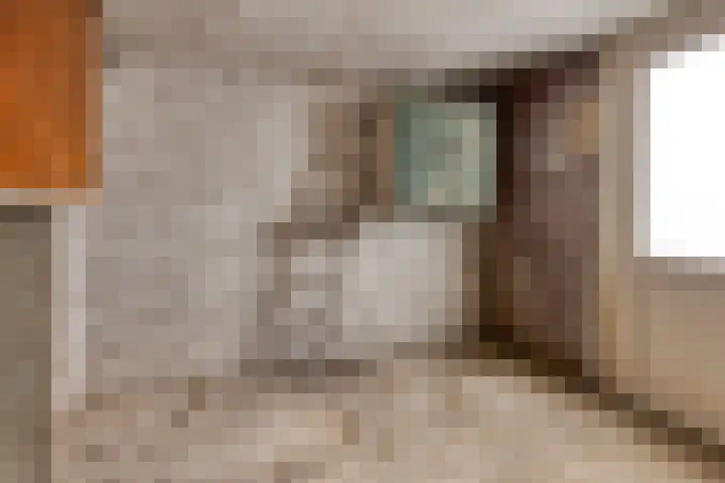 Hendrik Mandestraat 17 Eindhoven thumbnail 29