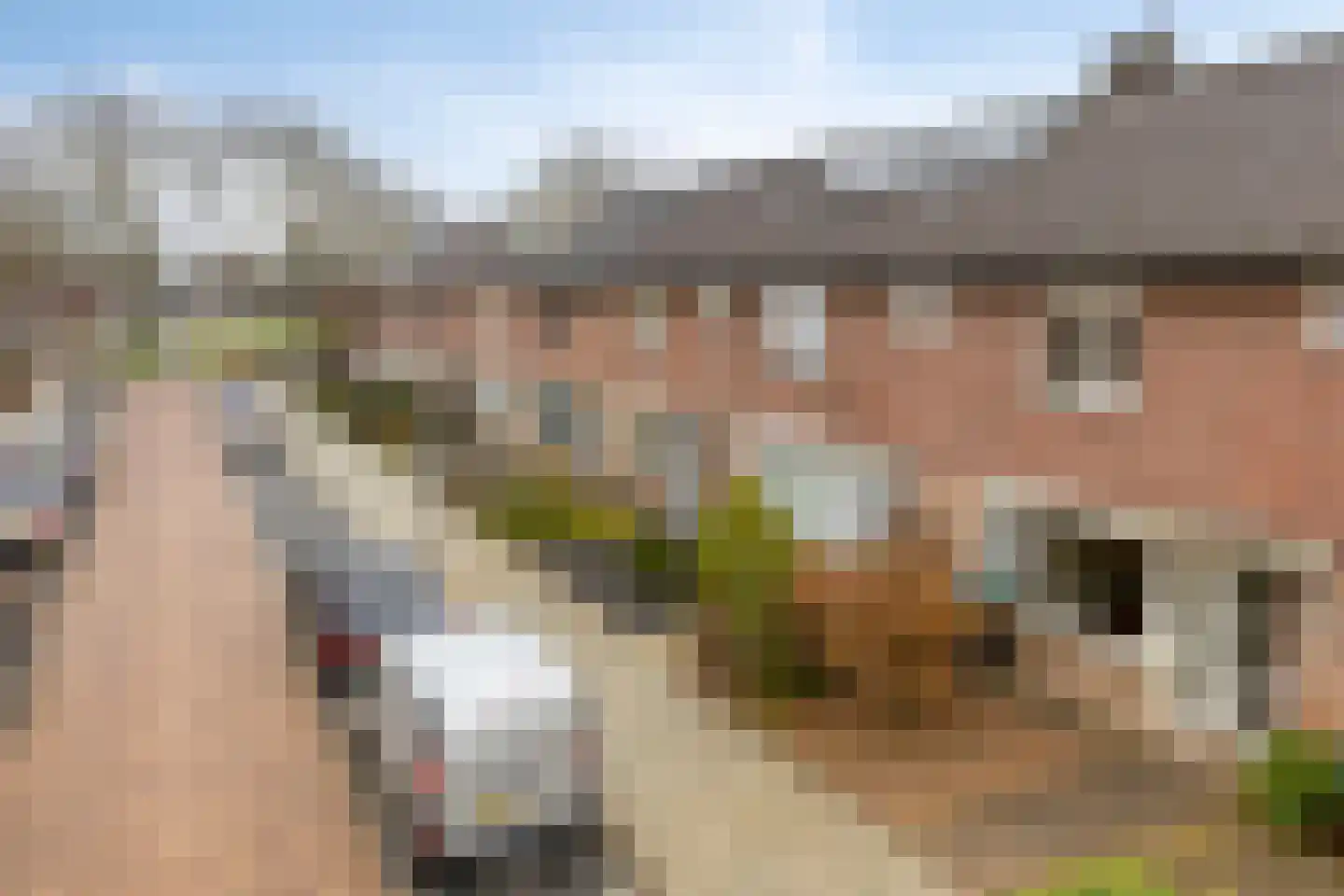 Hendrik Mandestraat 17 Eindhoven thumbnail 31