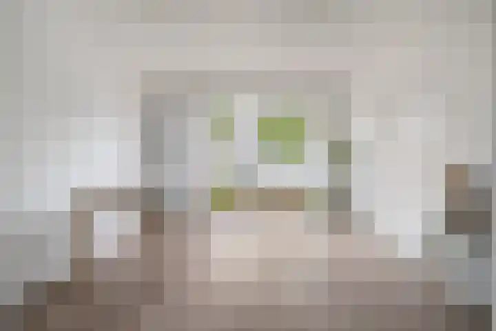 Hendrik Mandestraat 21 Eindhoven thumbnail 10