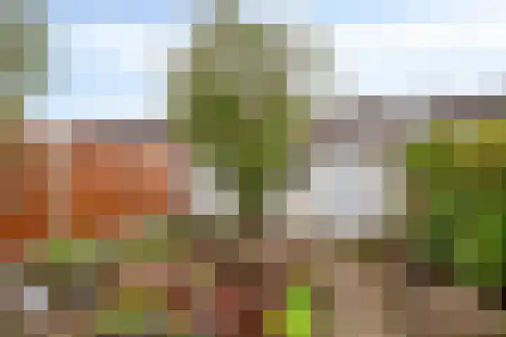 Hendrik Mandestraat 21 Eindhoven thumbnail 25