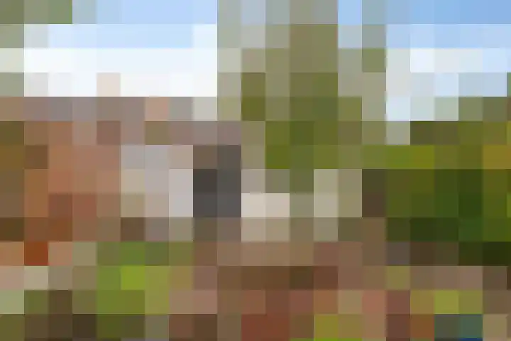 Hendrik Mandestraat 21 Eindhoven thumbnail 26