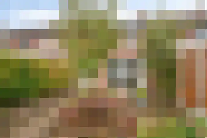 Hendrik Mandestraat 21 Eindhoven thumbnail 27