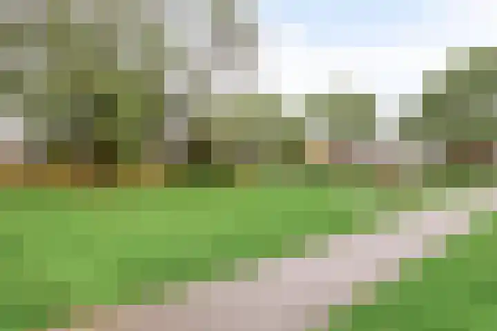 Hendrik Mandestraat 21 Eindhoven thumbnail 34