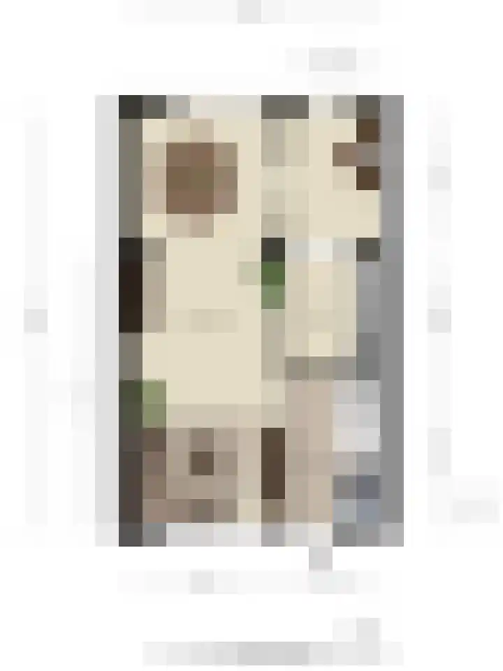 Hendrik Mandestraat 21 Eindhoven thumbnail 35