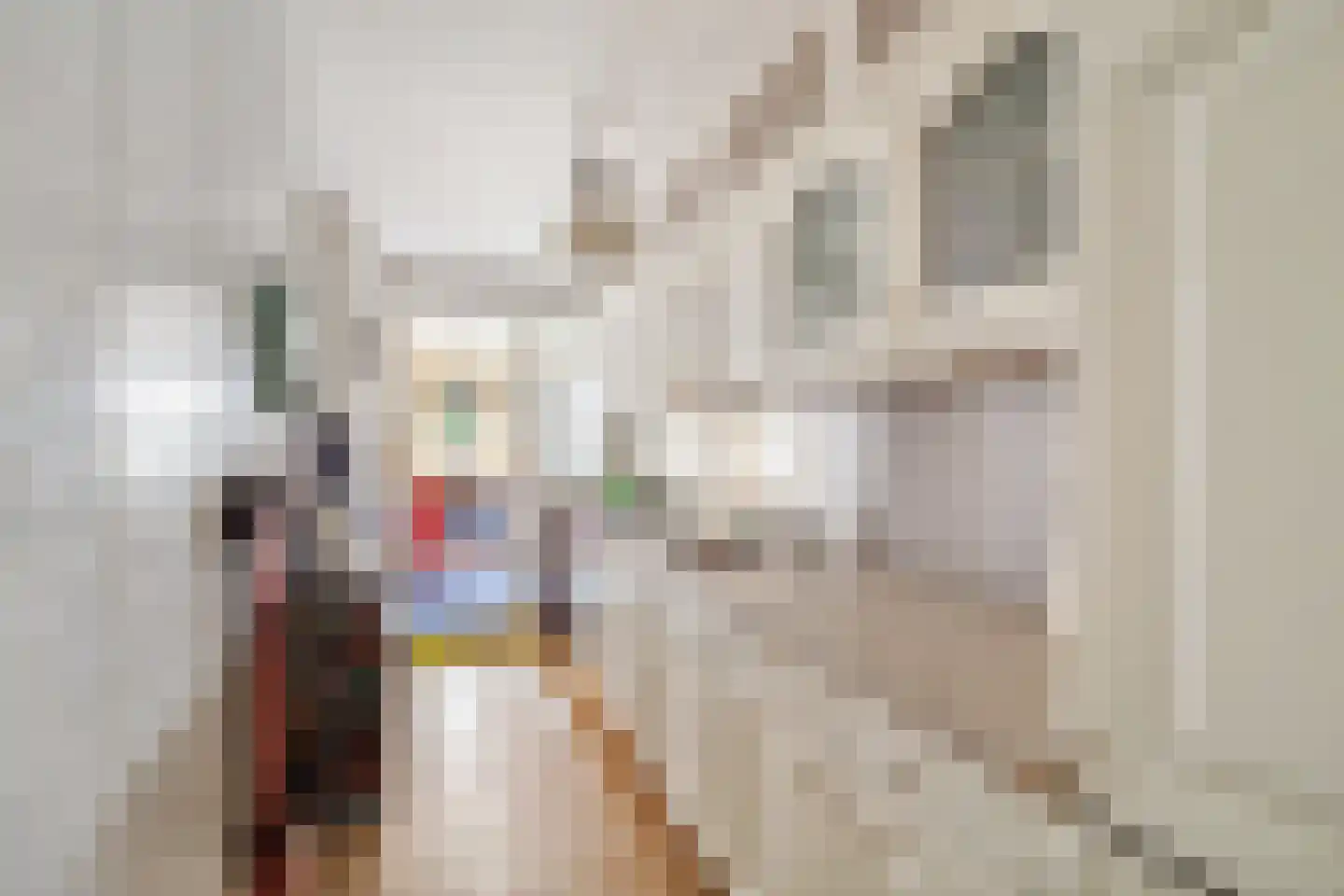 Hendrik Mandestraat 59 Den Haag thumbnail 18