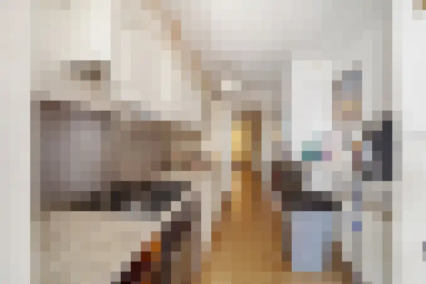 Hendrik Mandestraat 59 Den Haag thumbnail 19