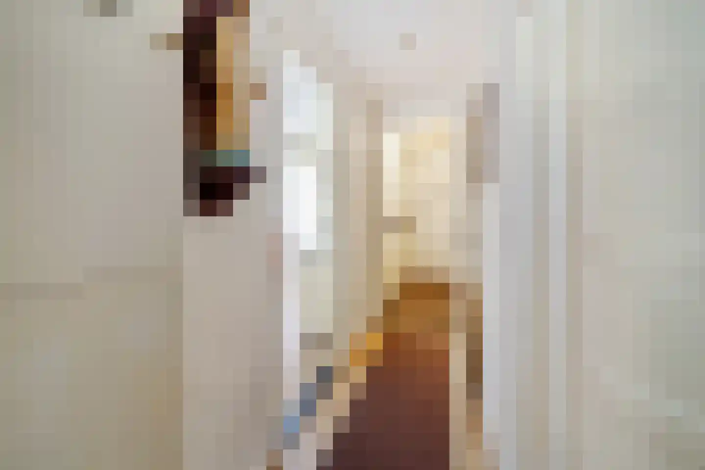 Hendrik Mandestraat 59 Den Haag thumbnail 5