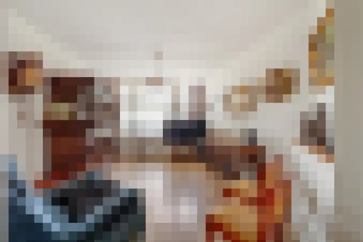 Hendrik Mandestraat 59 Den Haag thumbnail 6